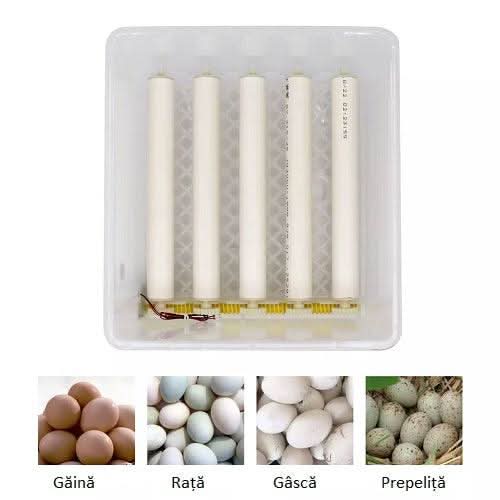 Incubator automat MS-16 oua, 12V/220V, Tehno Ms #254 - ZEP.RO - Ți-e la îndemână!