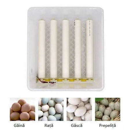 Incubator automat MS-16 oua, 12V/220V, Tehno Ms #254 - ZEP.RO - Ți-e la îndemână!