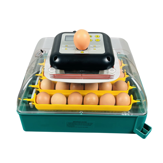 Incubator automat  ZEP MS-24 pentru oua, 24 oua, control digital temperatura si umiditate, intoarcere automata