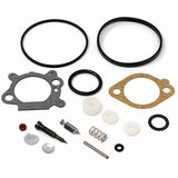 Kit reparatie carburator Briggs & Stratton 498260