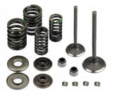 Kit reparatie chiulasa ATV Linhai / Yamaha Majesty 260-300cc