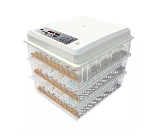 Incubator Automat MS-176 – 176 Ouă (12V/220V)