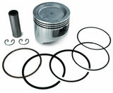 Piston motor ax vertical 1P65F Ø 65mm