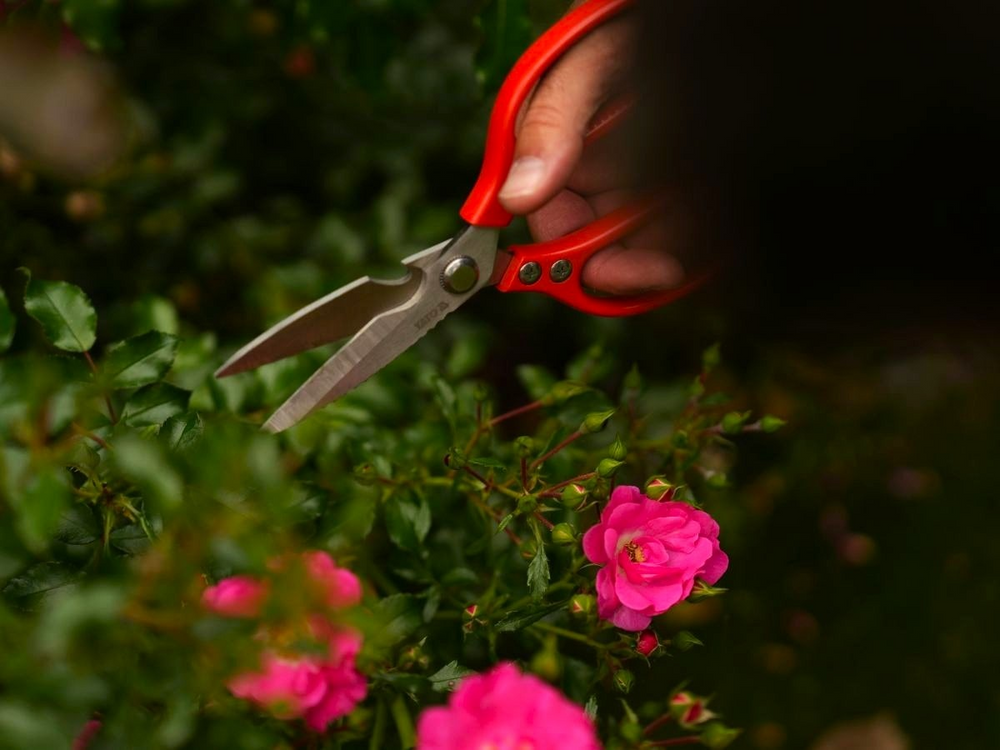 Foarfece Gradinarit Inox 215mm Yato YT-87861