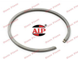 Segment 58mm X 1.5mm AIP 58mm / 1 / 5mm