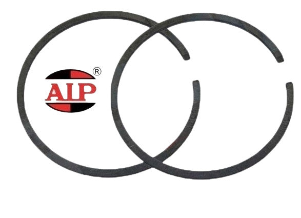 Segment Ø 38.5 mm x 2 mm AIP