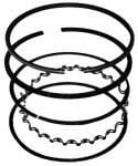 Segmenti Briggs  Straton (65 x 1.2 x 1.2 x 2mm)