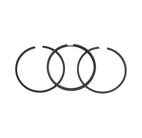 Segmenti generator Briggs & Straton 493261