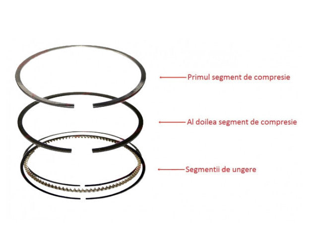 Segmenti scuter 4T 69mm LEONARDO   MAJESTY   LINHAI (1.0 x 1.0 x 1.5mm)