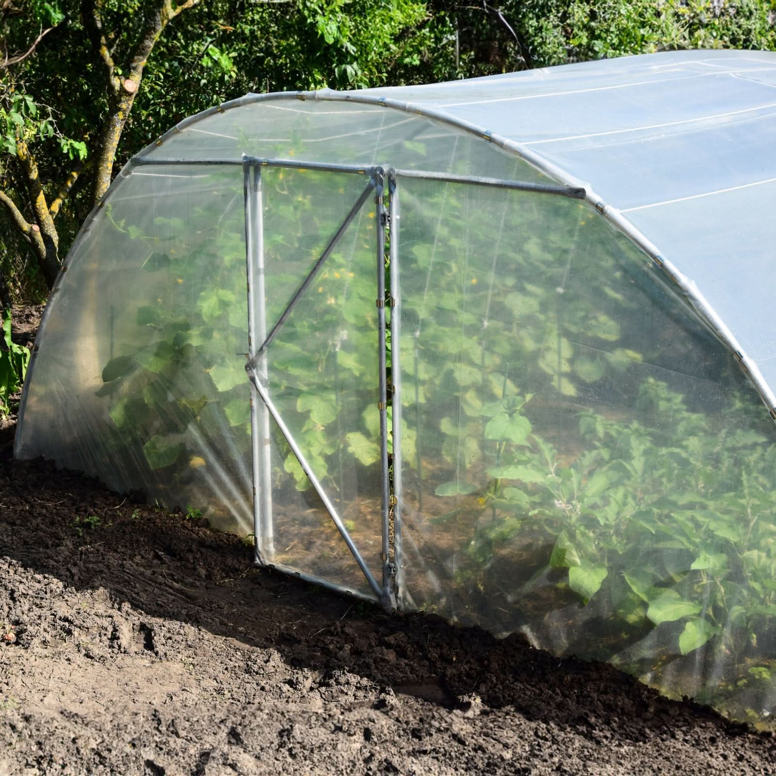 Sera gradina 27 MP Tehno MS #51301