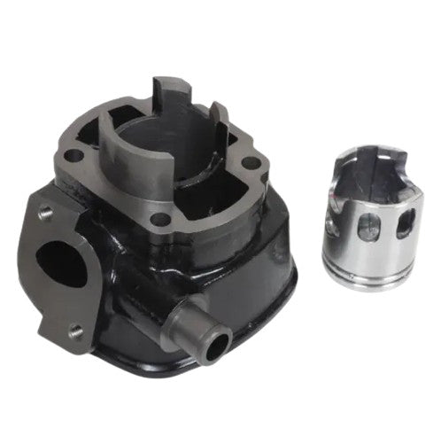 Set motor scuter 2T 50cc Aprilia SR Malaguti racire apa - vedere ansamblu