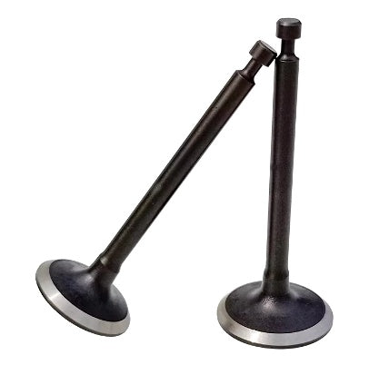 Supape motocoasa Robin EH 12