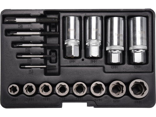 SET UNIVERSAL DE EXTRAS ȘURUBURI, 17 BUC