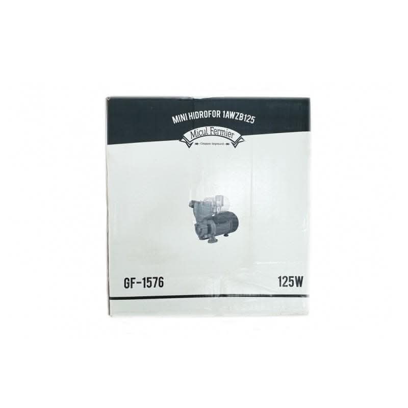 Mini Hidrofor 2m3/ora, 22m, 125W, Micul Fermier 1AWZB125 (GF-1576), Model 2019 - Ro-Unelte