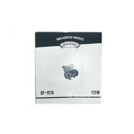 Mini Hidrofor 2m3/ora, 22m, 125W, Micul Fermier 1AWZB125 (GF-1576), Model 2019 - Ro-Unelte
