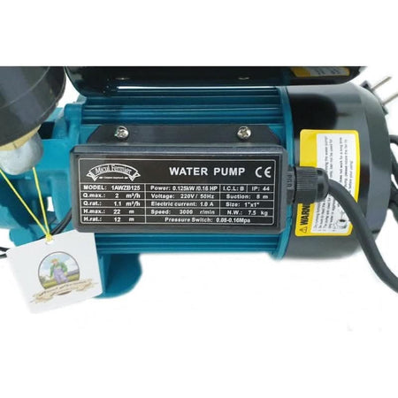 Mini Hidrofor 2m3/ora, 22m, 125W, Micul Fermier 1AWZB125 (GF-1576), Model 2019 - Ro-Unelte